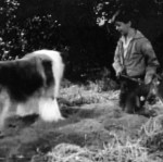Lassie 'The Bear' episode shots 003