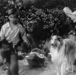 Lassie 'The Bear' episode shots 007