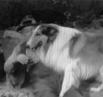 Lassie 'The Bear' episode shots 008
